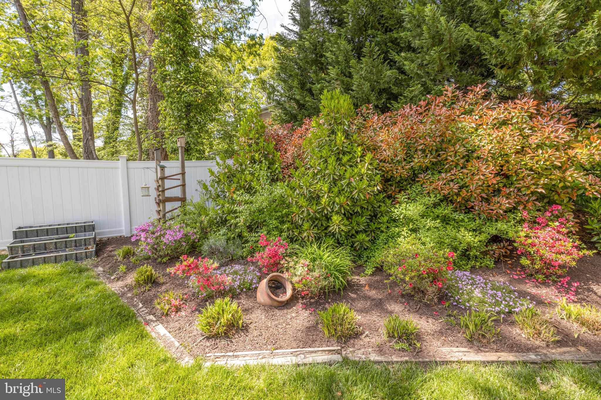 7859 Southdown Road Alexandria, VA 22308 - Photo 55 of 57 Backyard