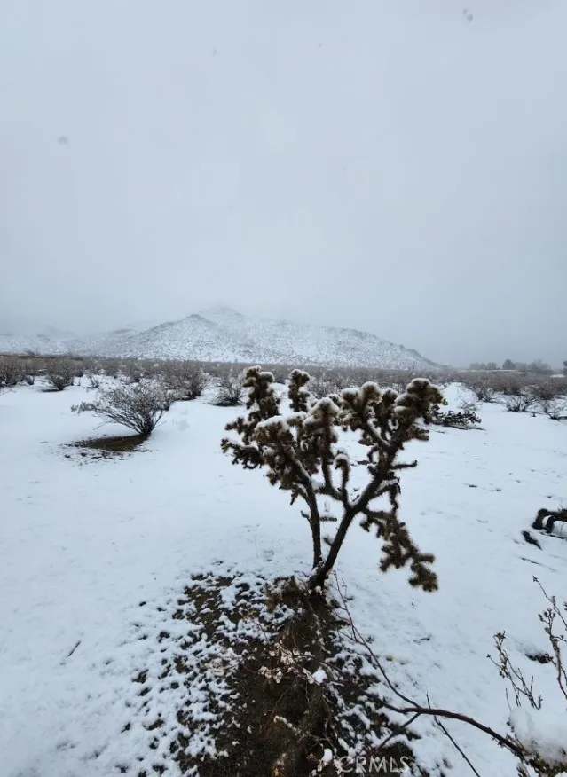 0 Roanoke Road Apple Valley, CA 92307 - Photo 12 of 15