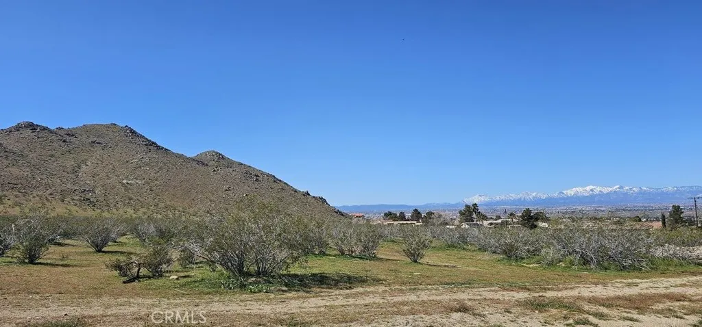 0 Roanoke Road Apple Valley, CA 92307 - Photo 15 of 15 a view of a dry yard with mountains in the background