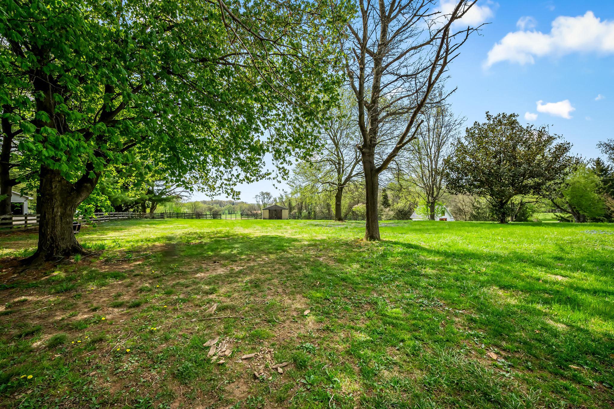 2619 Bradenbaugh Road White Hall, MD 21161 - Photo 40 of 50 a view of yard with trees