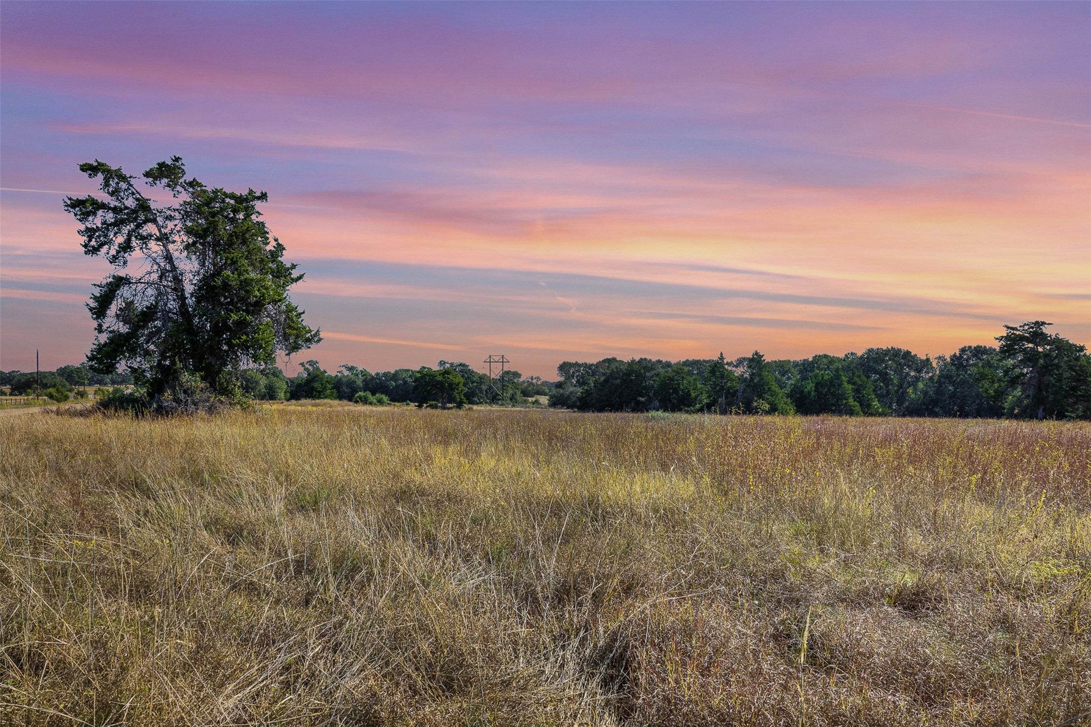 Tbd-6 Greenvine Road Burton, TX 77835 - Photo 5 of 9