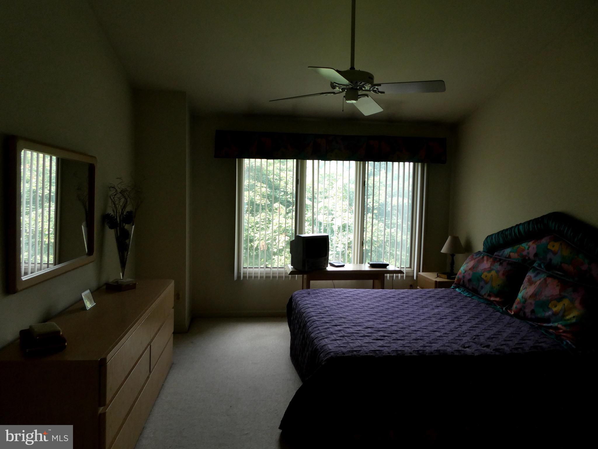 5147 Columbia Road, Unit 832 Columbia, MD 21044 - Photo 11 of 32 Vaulted ceiling with fan & streaming natural light