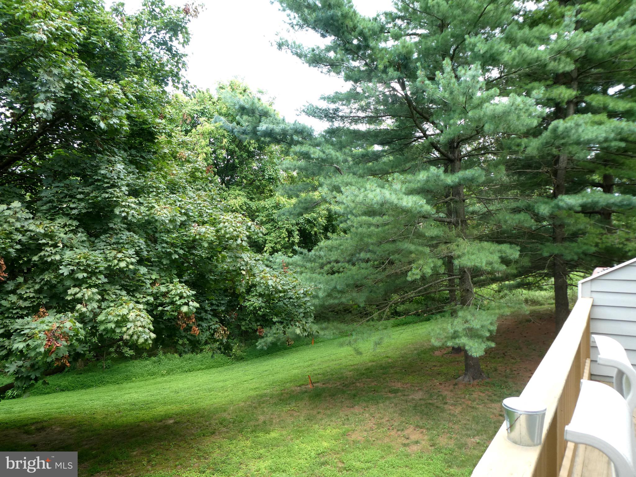 5147 Columbia Road, Unit 832 Columbia, MD 21044 - Photo 31 of 32 View 1 from main level deck to tree-lined solitude