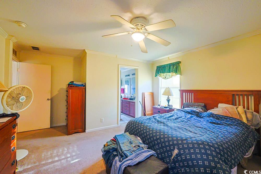 1291 Highway 701 Highway Loris, SC 29569 - Photo 11 of 40 Bedroom featuring ornamental molding, light carpet, ceiling fan, and ensuite bathroom