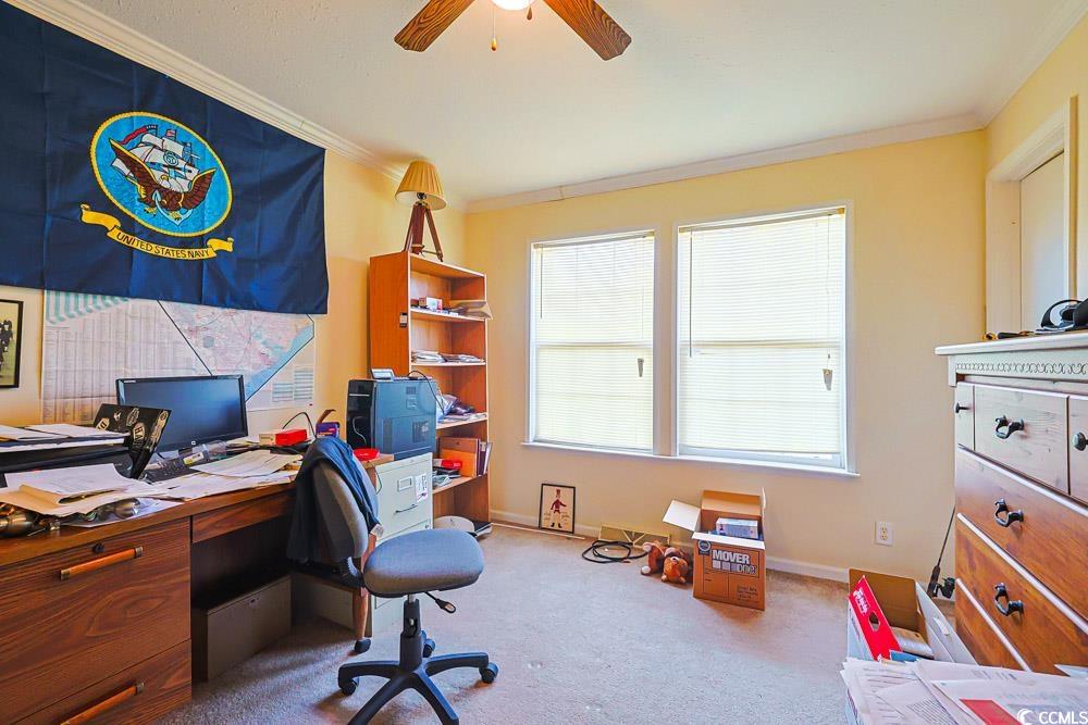 1291 Highway 701 Highway Loris, SC 29569 - Photo 19 of 40 Home office with crown molding, plenty of natural light, light colored carpet, and a ceiling fan
