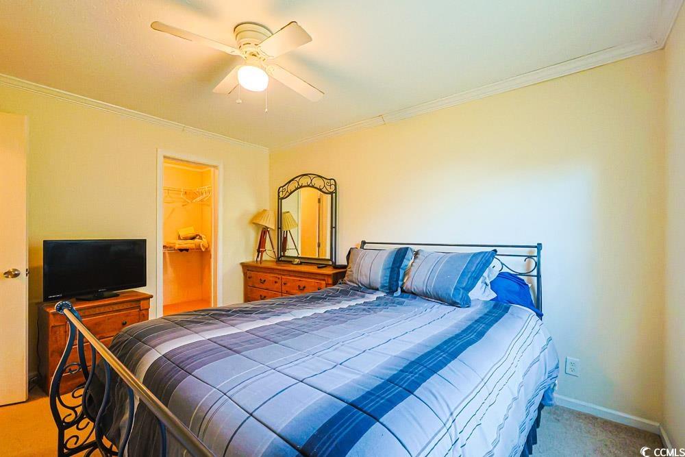 1291 Highway 701 Highway Loris, SC 29569 - Photo 23 of 40 Bedroom with ornamental molding, a spacious closet, light carpet, and a ceiling fan