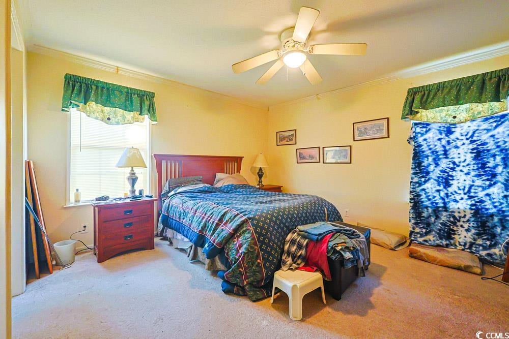 1291 Highway 701 Highway Loris, SC 29569 - Photo 10 of 40 Bedroom featuring crown molding, carpet floors, and ceiling fan