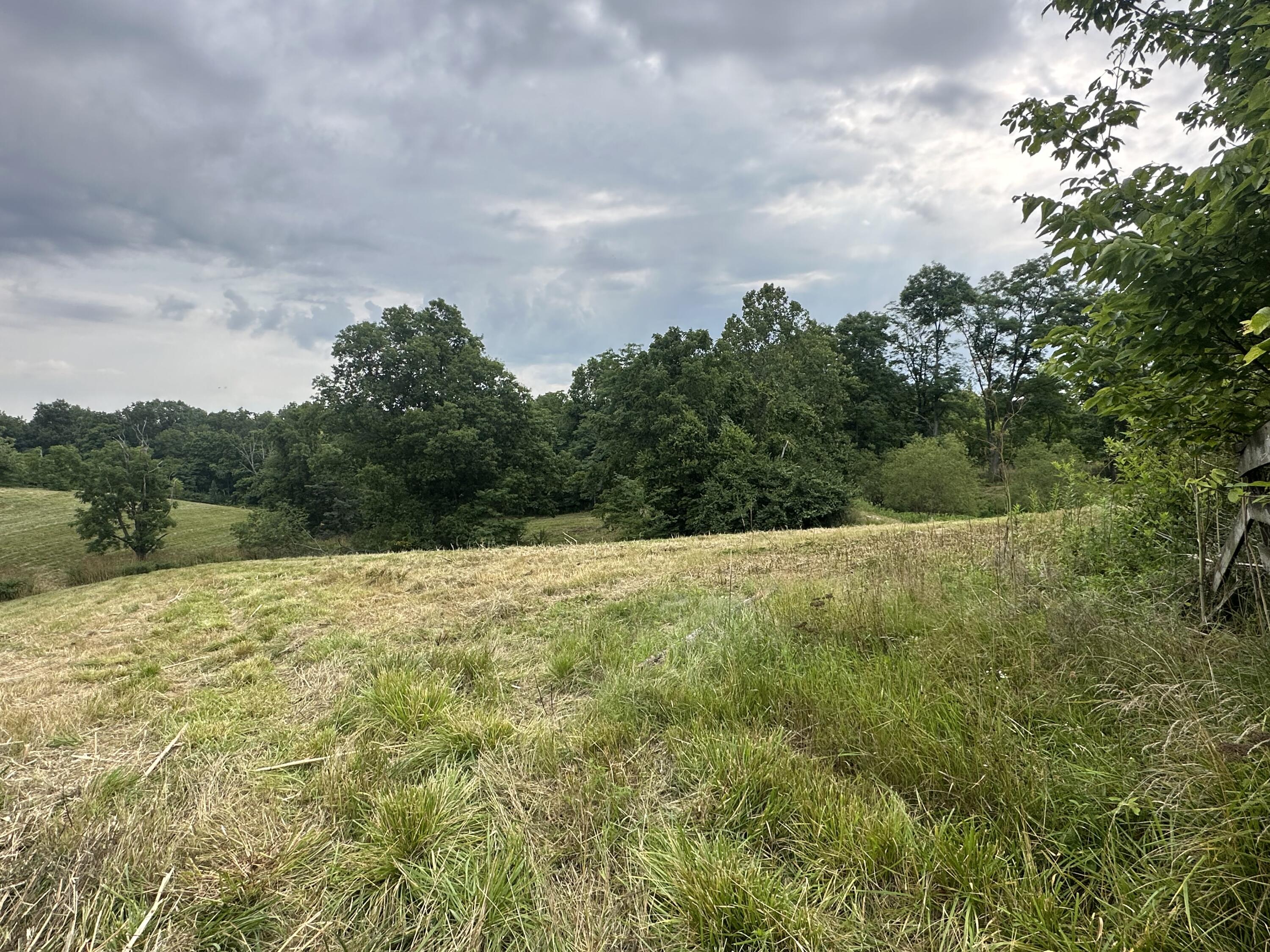 1666 Shaw Road Independence, KY 41051 - Photo 16 of 28
