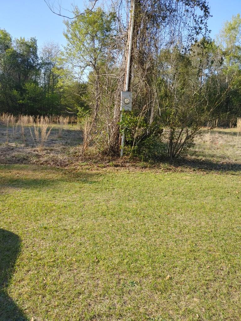 129 Edna Street Springfield, SC 29146 - Photo 2 of 3
