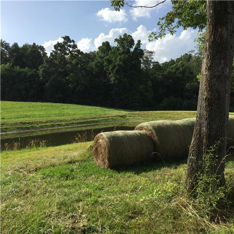 0 R R Arnold Road Smithville, TN 37166 - Photo 2 of 20 Gallery Image 2