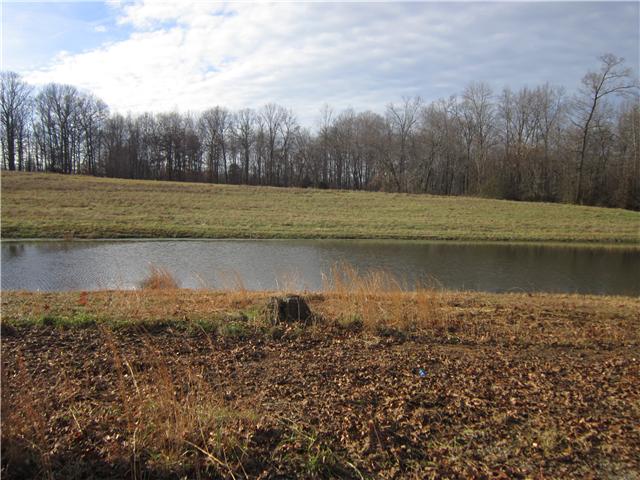 0 R R Arnold Road Smithville, TN 37166 - Photo 11 of 20 Gallery Image 11