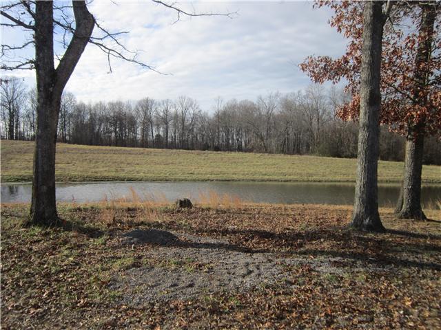 0 R R Arnold Road Smithville, TN 37166 - Photo 13 of 20 Gallery Image 13