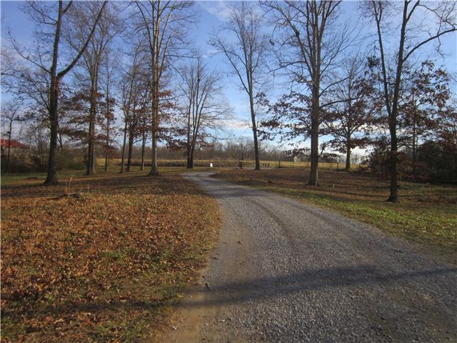0 R R Arnold Road Smithville, TN 37166 - Photo 14 of 20 Gallery Image 14