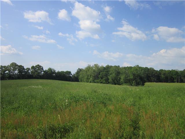 0 R R Arnold Road Smithville, TN 37166 - Photo 15 of 20 Gallery Image 15
