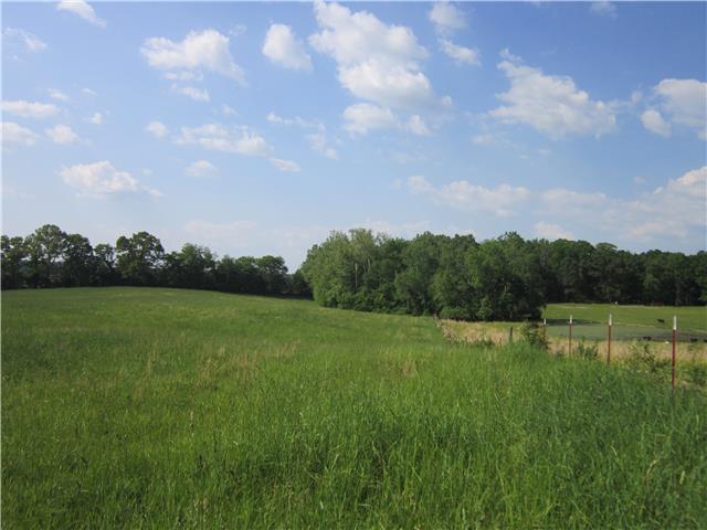 0 R R Arnold Road Smithville, TN 37166 - Photo 16 of 20 Gallery Image 16
