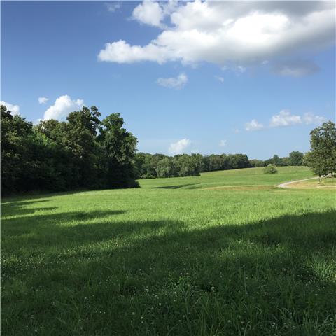0 R R Arnold Road Smithville, TN 37166 - Photo 3 of 20 Gallery Image 3