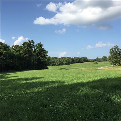 0 R R Arnold Road Smithville, TN 37166 - Photo 4 of 20 Gallery Image 4
