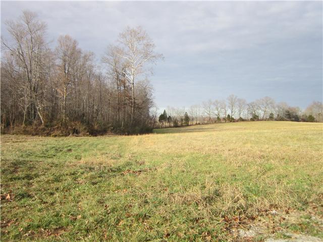 0 R R Arnold Road Smithville, TN 37166 - Photo 6 of 20 Gallery Image 6