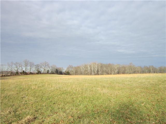 0 R R Arnold Road Smithville, TN 37166 - Photo 7 of 20 Gallery Image 7