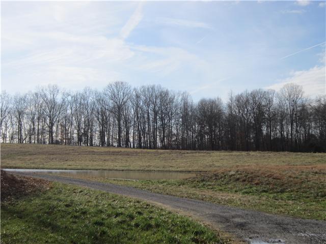 0 R R Arnold Road Smithville, TN 37166 - Photo 8 of 20 Gallery Image 8