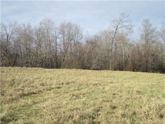0 R R Arnold Road Smithville, TN 37166 - Photo 9 of 20 Gallery Image 9