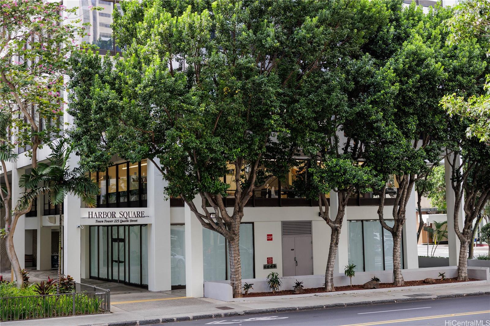 225 Queen Street, Unit 7A Honolulu, HI 96813 - Photo 18 of 18 a front view of a house with a tree