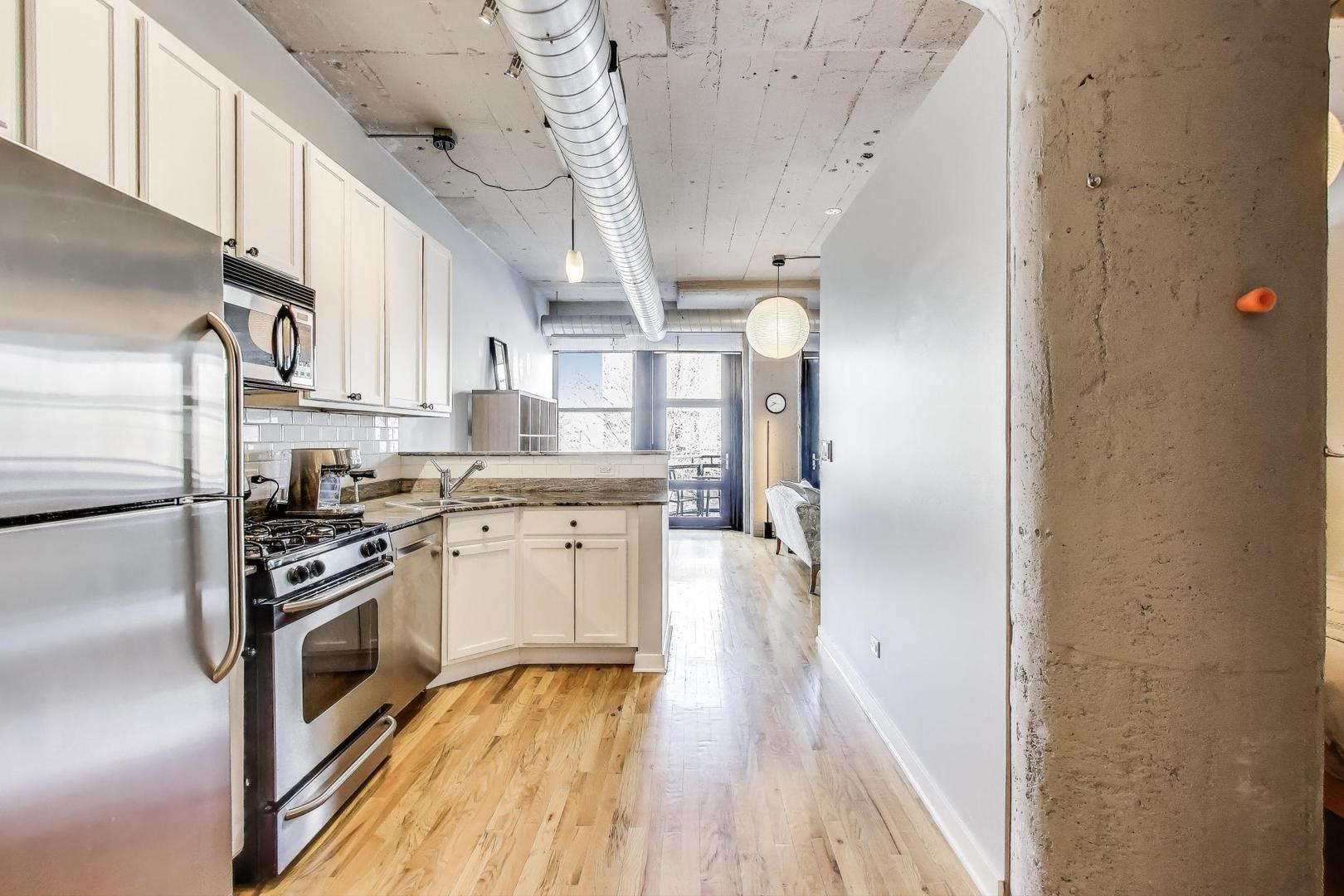 1069 West 14th Place, Unit 233 Chicago, IL 60608 - Photo 11 of 31