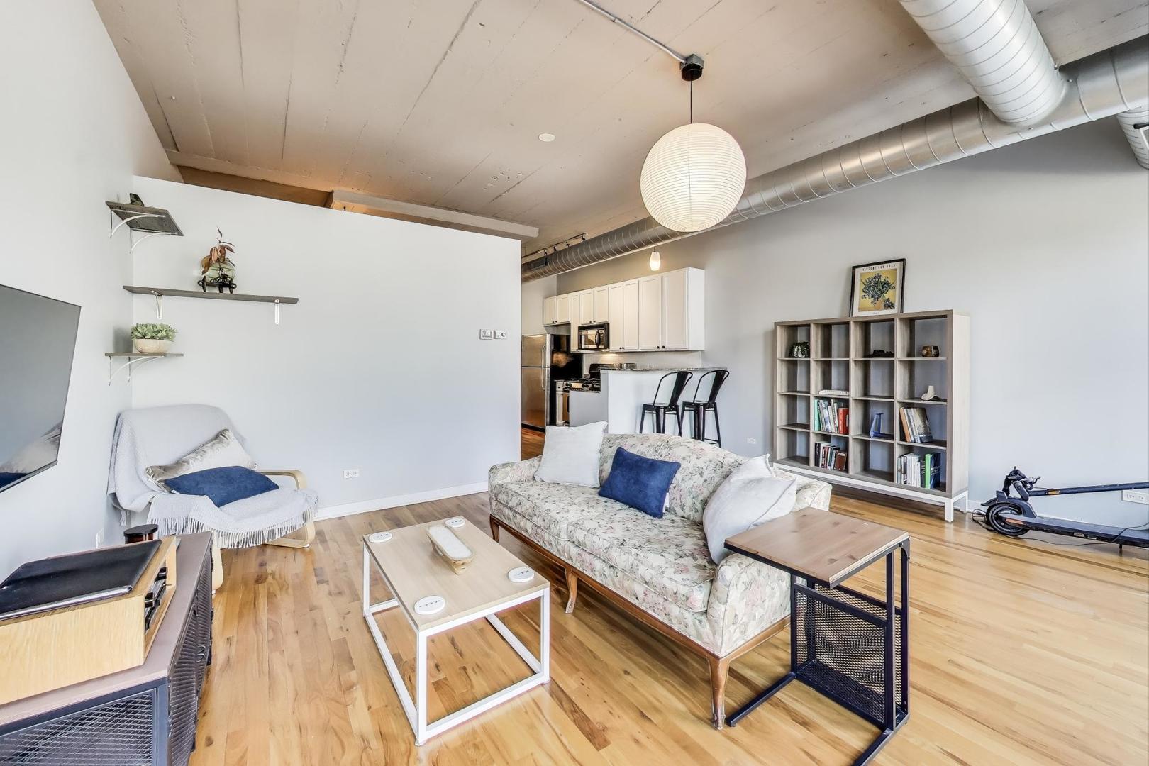 1069 West 14th Place, Unit 233 Chicago, IL 60608 - Photo 6 of 31