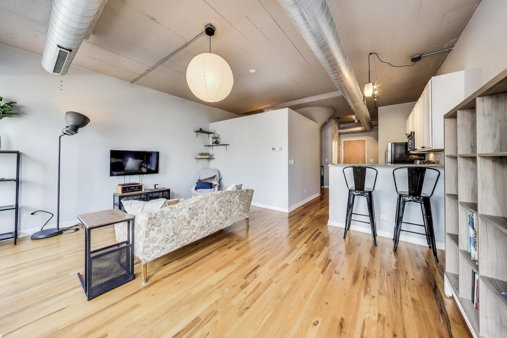 1069 West 14th Place, Unit 233 Chicago, IL 60608 - Photo 7 of 31