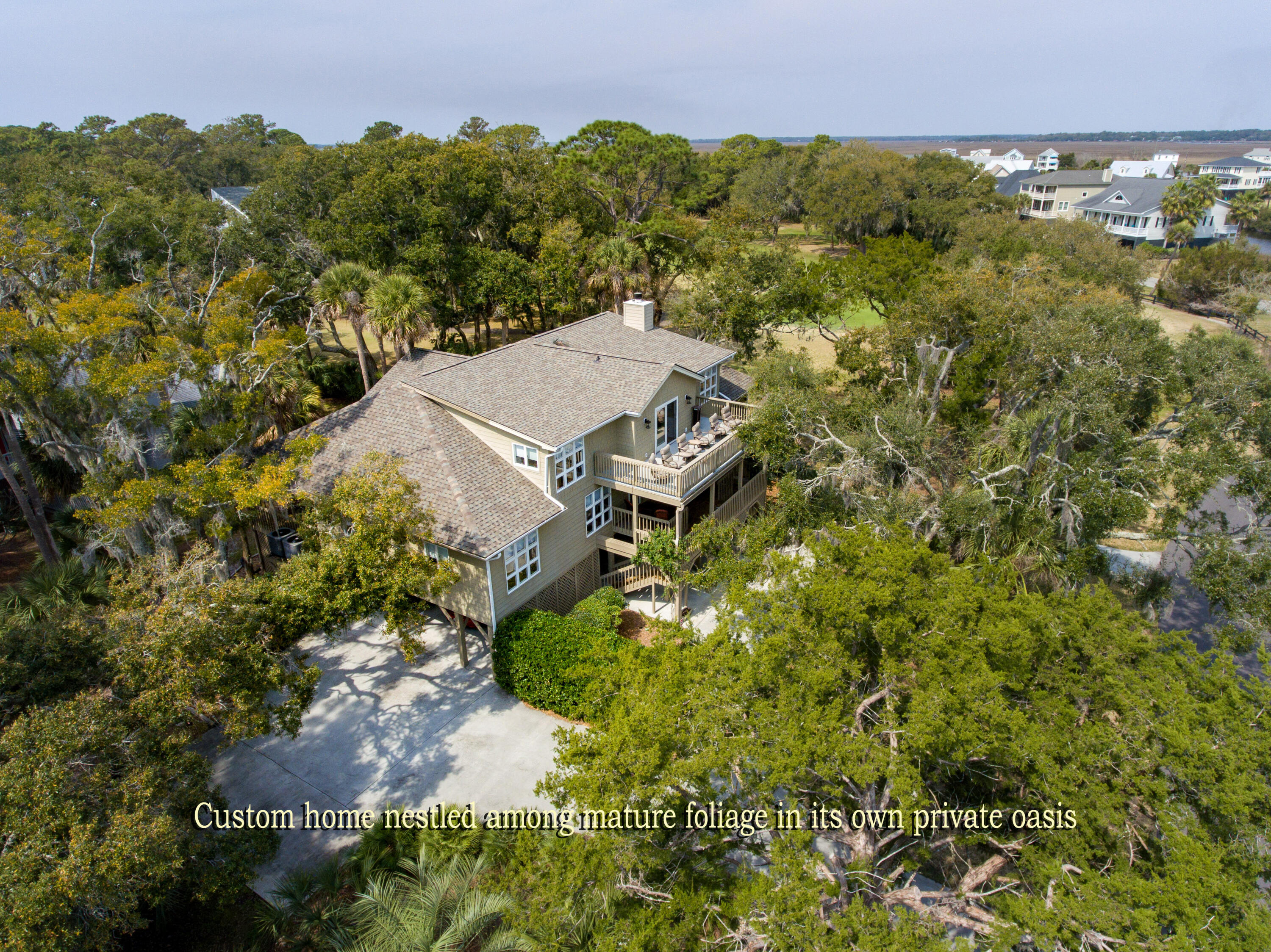 15 Gun Bluff Road Edisto Island, SC 29438 - Photo 1 of 67 1