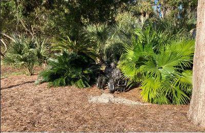 15 Gun Bluff Road Edisto Island, SC 29438 - Photo 45 of 67 14yyyyyyyy