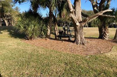 15 Gun Bluff Road Edisto Island, SC 29438 - Photo 59 of 67 16aa