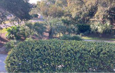 15 Gun Bluff Road Edisto Island, SC 29438 - Photo 61 of 67 16c