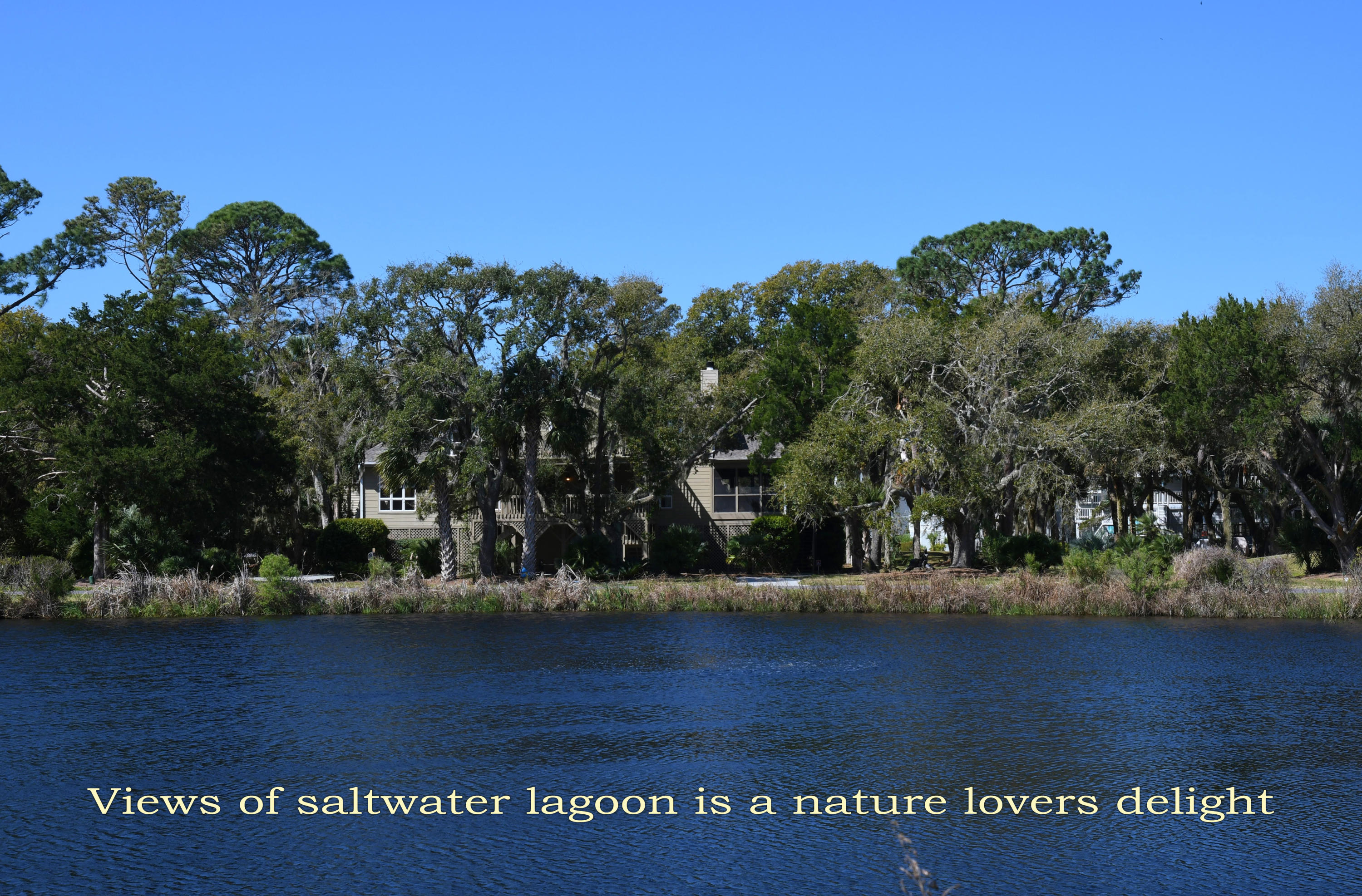 15 Gun Bluff Road Edisto Island, SC 29438 - Photo 62 of 67 17