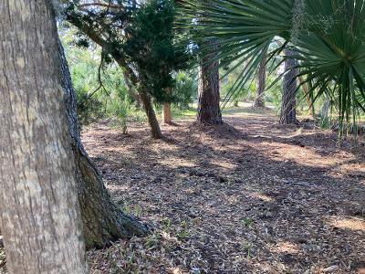 15 Gun Bluff Road Edisto Island, SC 29438 - Photo 64 of 67 18a