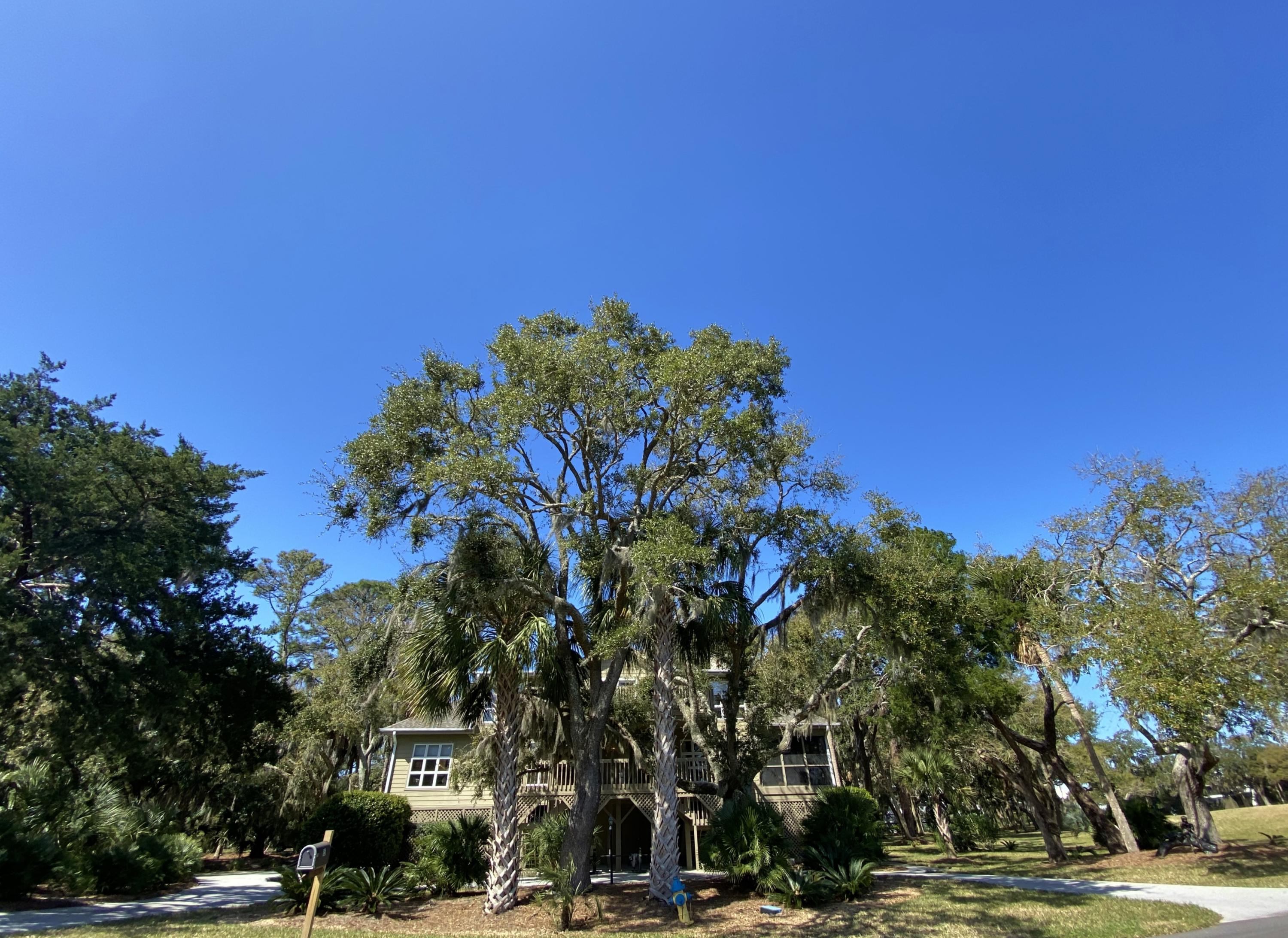 15 Gun Bluff Road Edisto Island, SC 29438 - Photo 67 of 67 20
