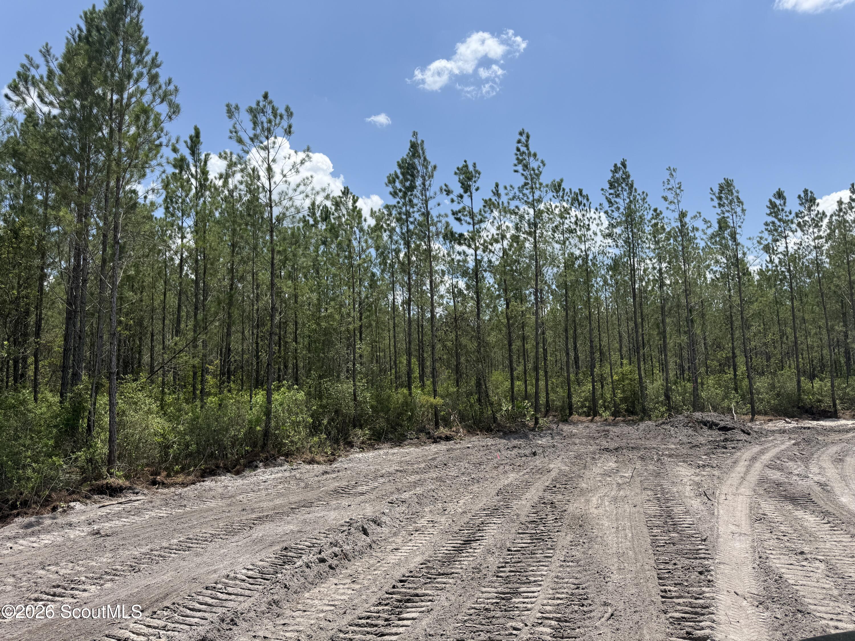Lot 9 Corbitt Road, Unit LOT 9 Manor, GA 31550 - Photo 1 of 11 IMG_8055