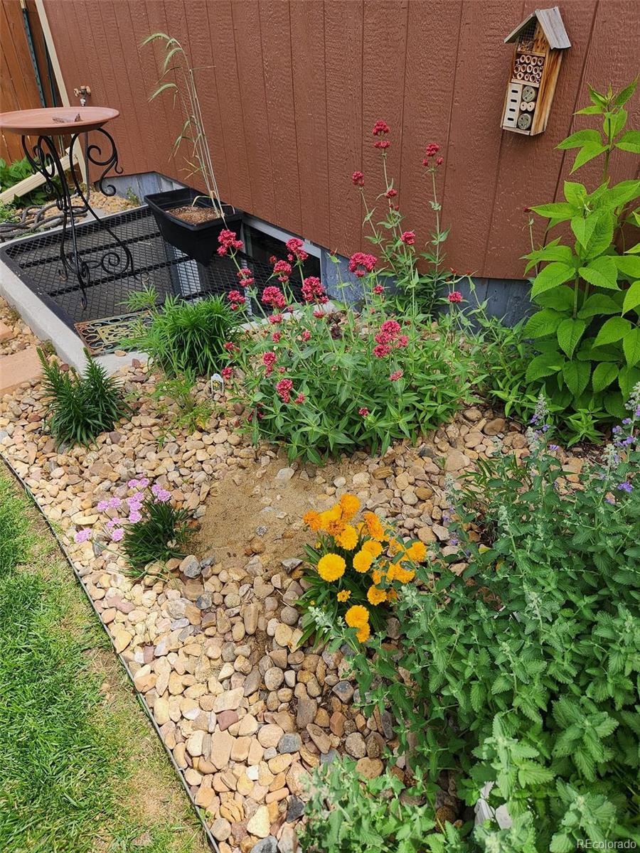 11510 Colony Loop Parker, CO 80138 - Photo 29 of 33
