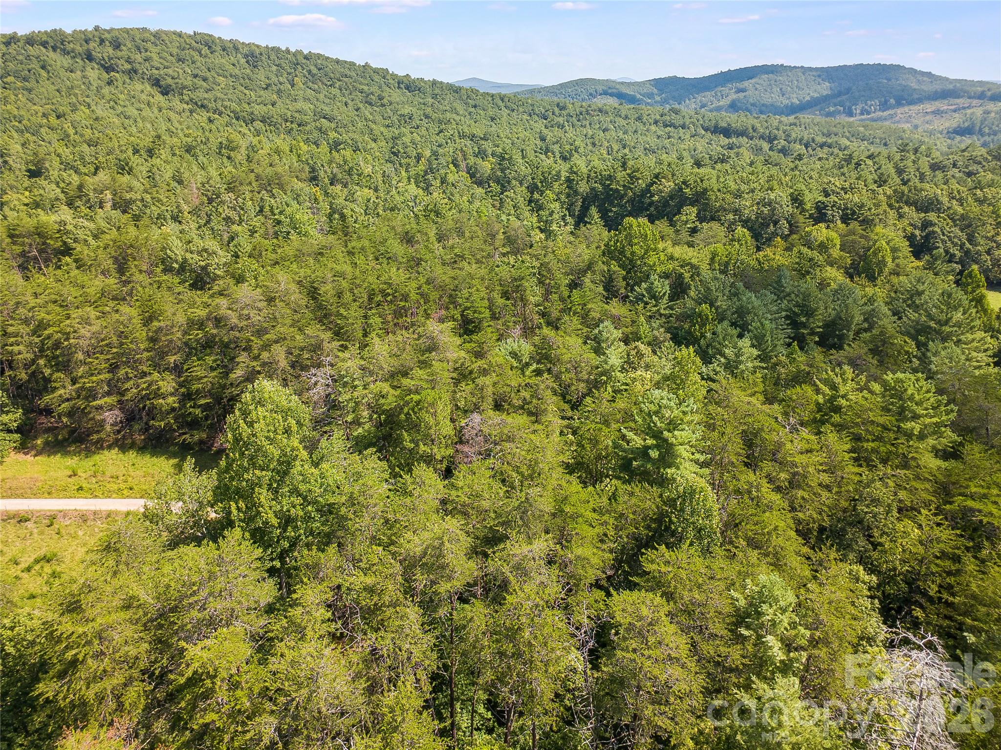 0 Burns Road Granite Falls, NC 28630 - Photo 32 of 33