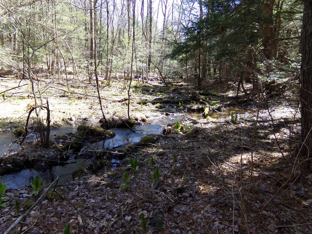 Lot 3 Cave Hill Road Leverett, MA 01054 - Photo 8 of 10 Gallery Image 8