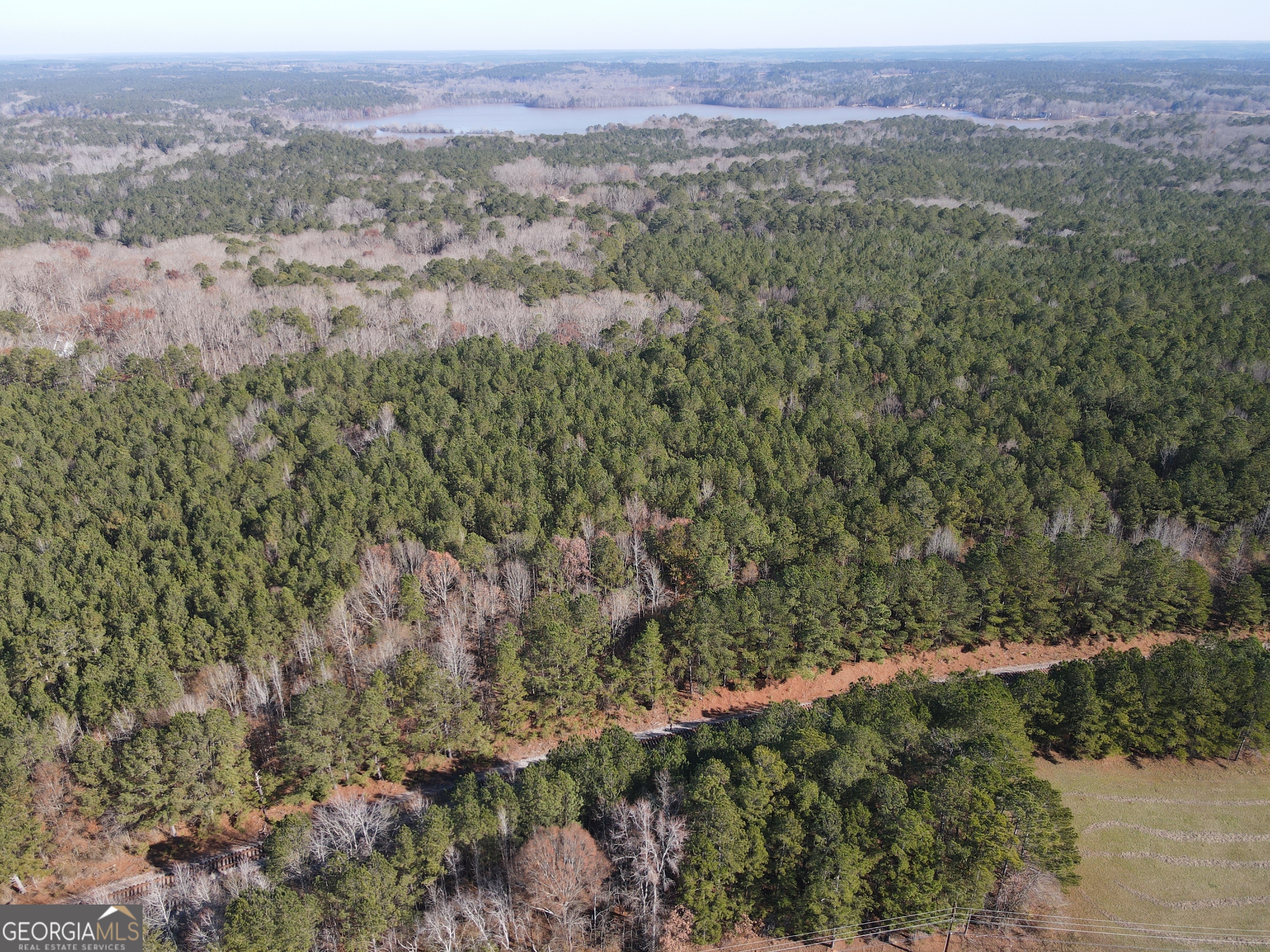0 Oconee Road Buckhead, GA 30625 - Photo 3 of 10 an aerial view of forest