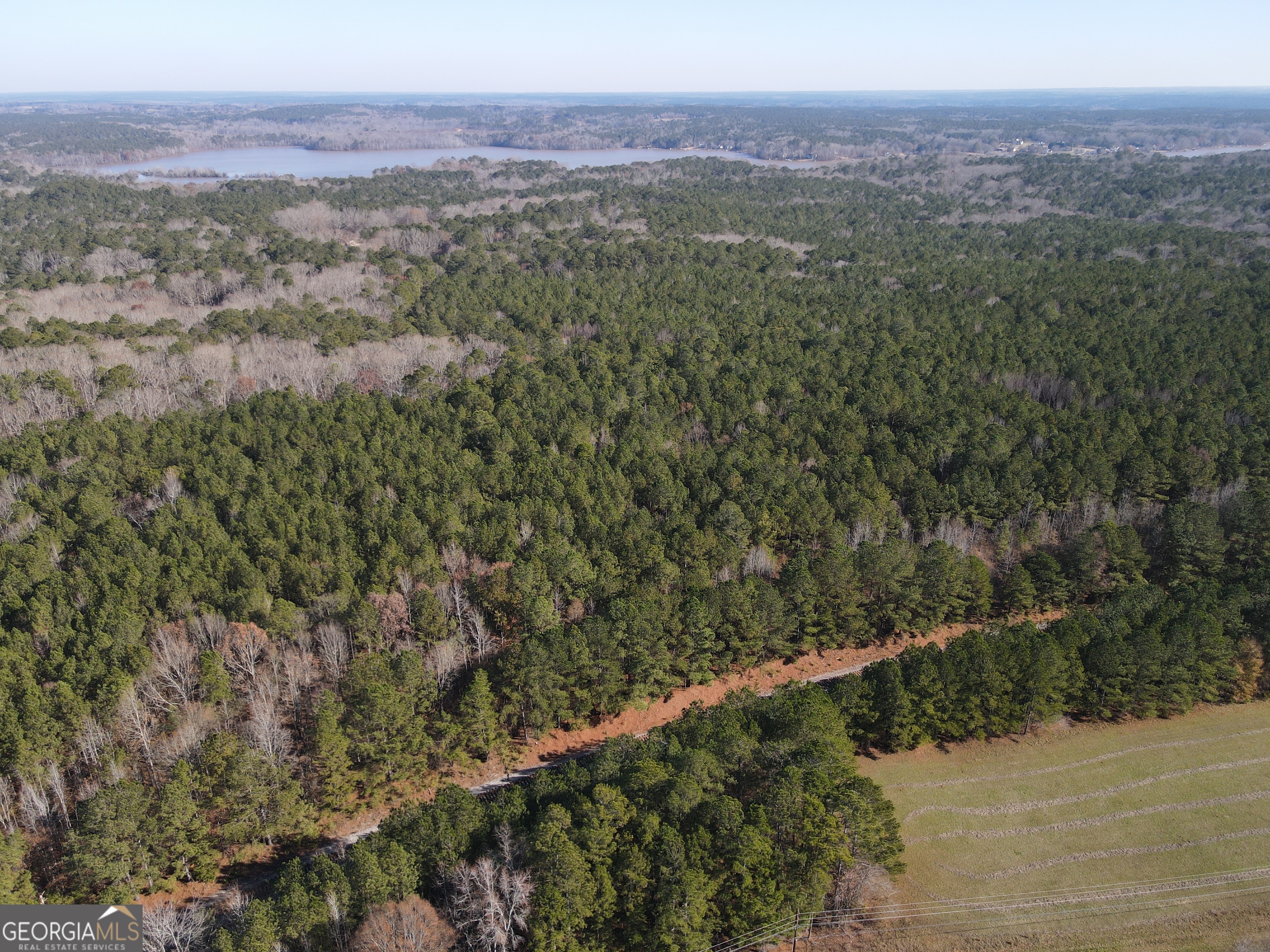 0 Oconee Road Buckhead, GA 30625 - Photo 4 of 10