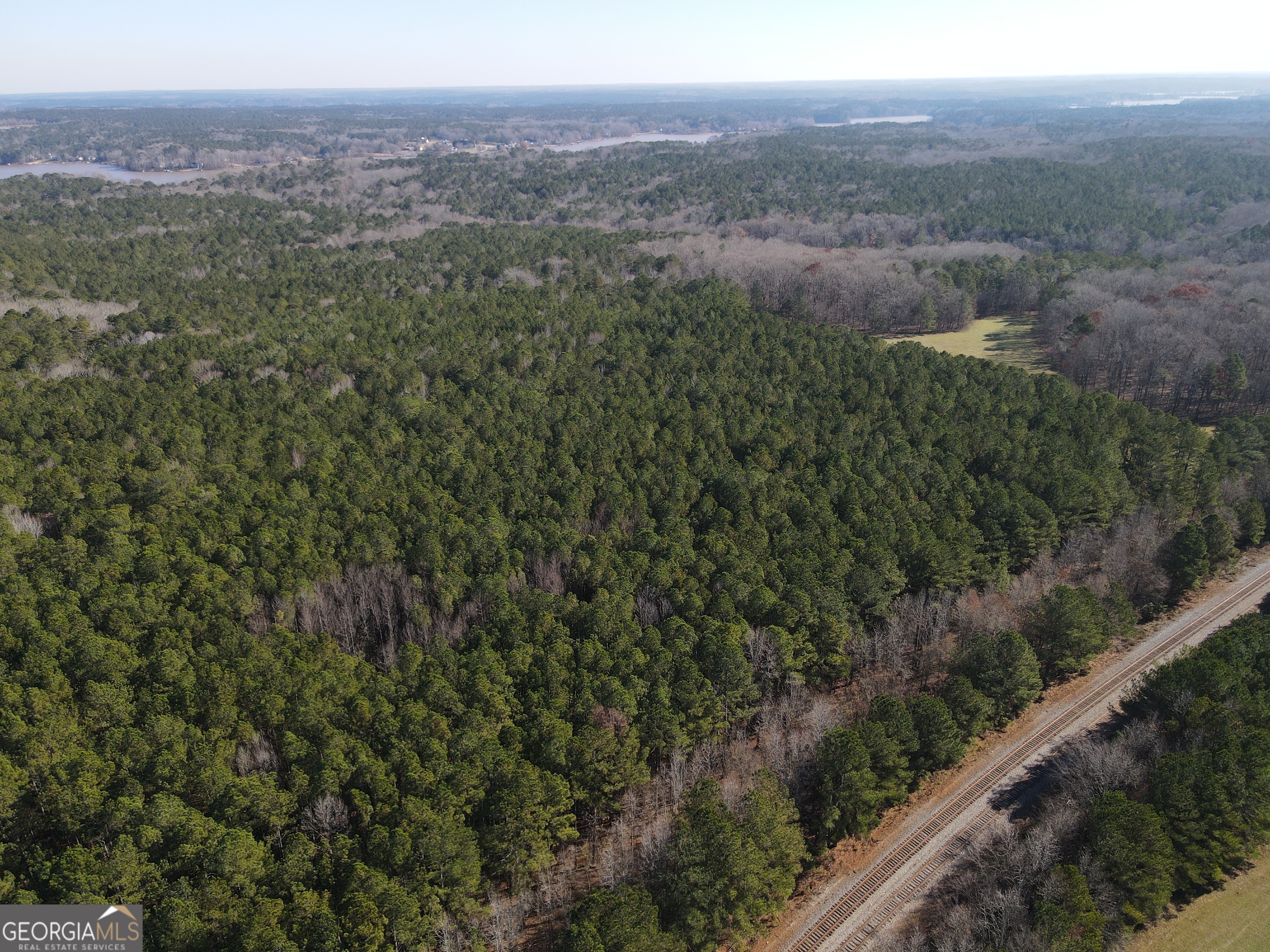 0 Oconee Road Buckhead, GA 30625 - Photo 5 of 10 a view of a lush green forest with trees and houses