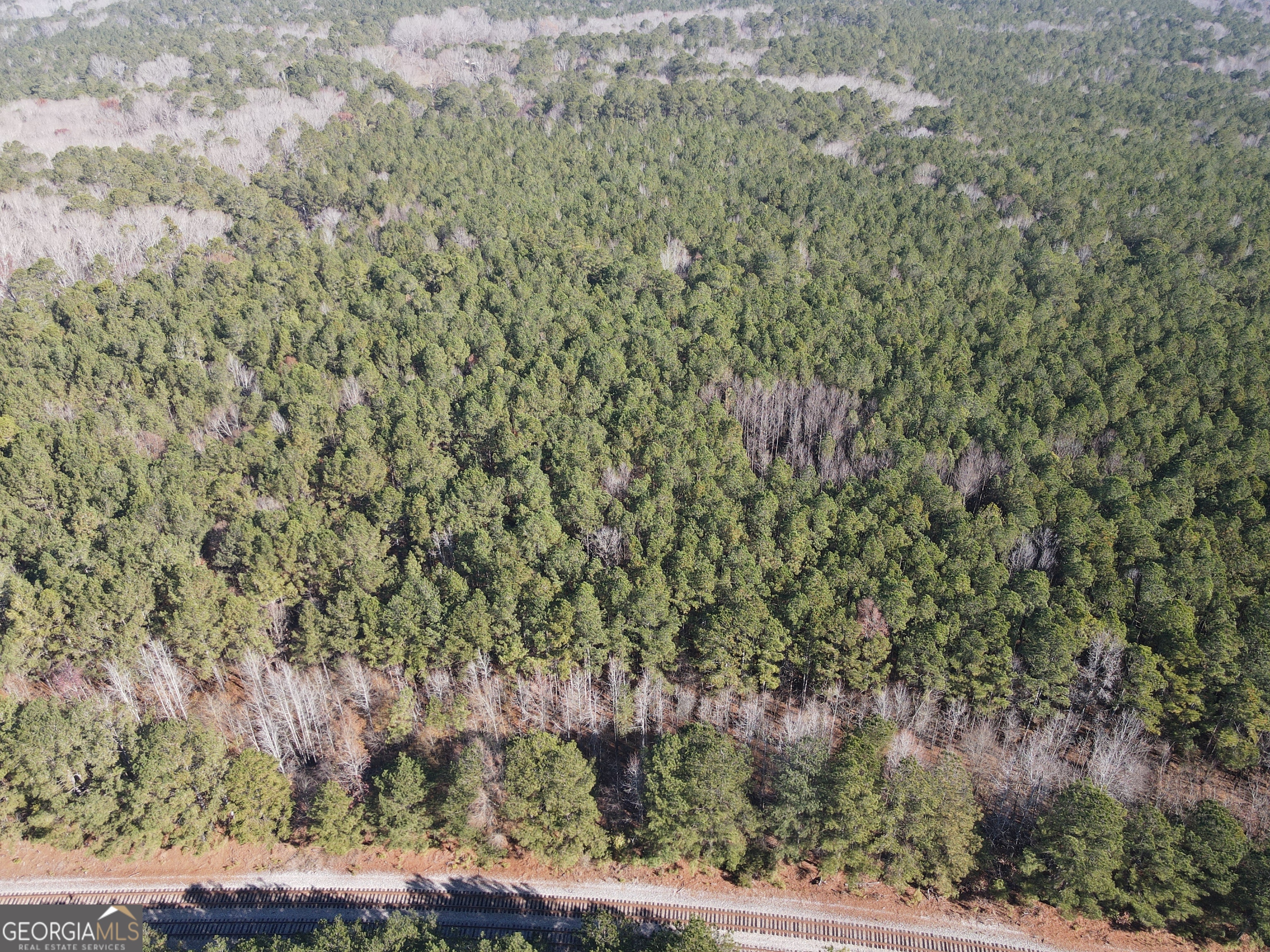 0 Oconee Road Buckhead, GA 30625 - Photo 6 of 10 a view of a yard