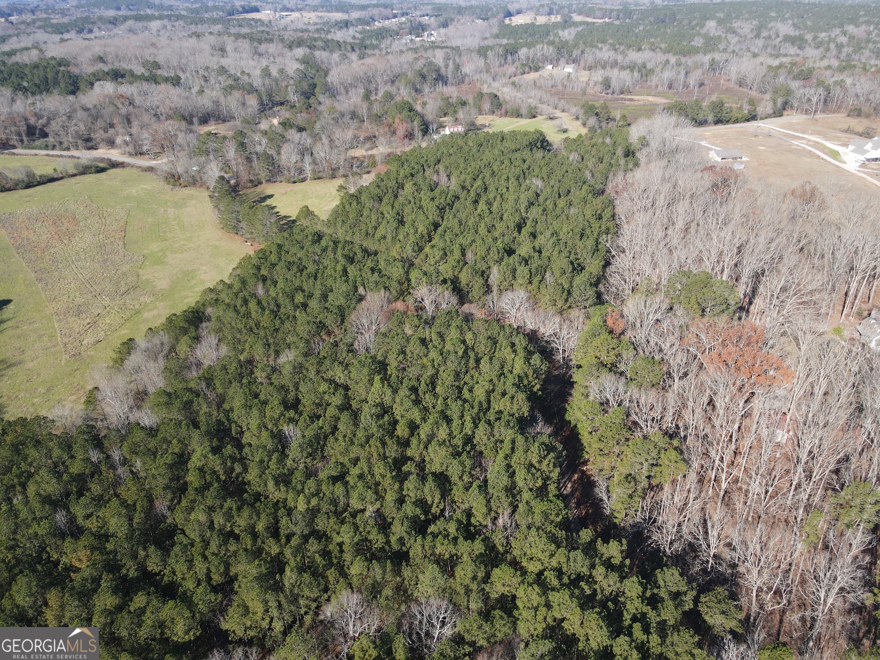 0 Oconee Road Buckhead, GA 30625 - Photo 7 of 10 a view of a lake with beach and green space
