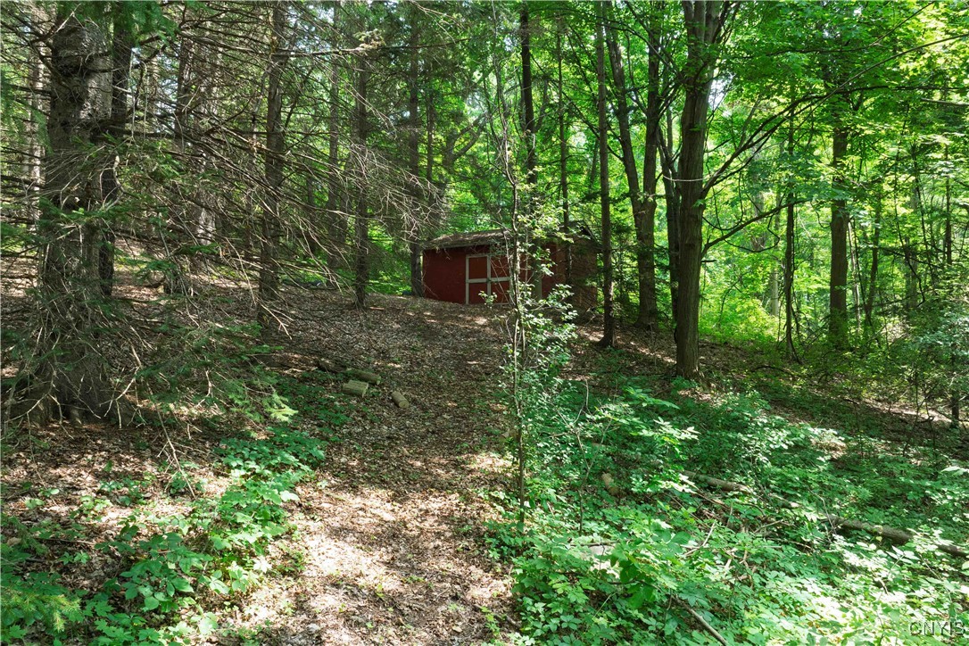 5150 Hamilton Road Elbridge, NY 13060 - Photo 38 of 49