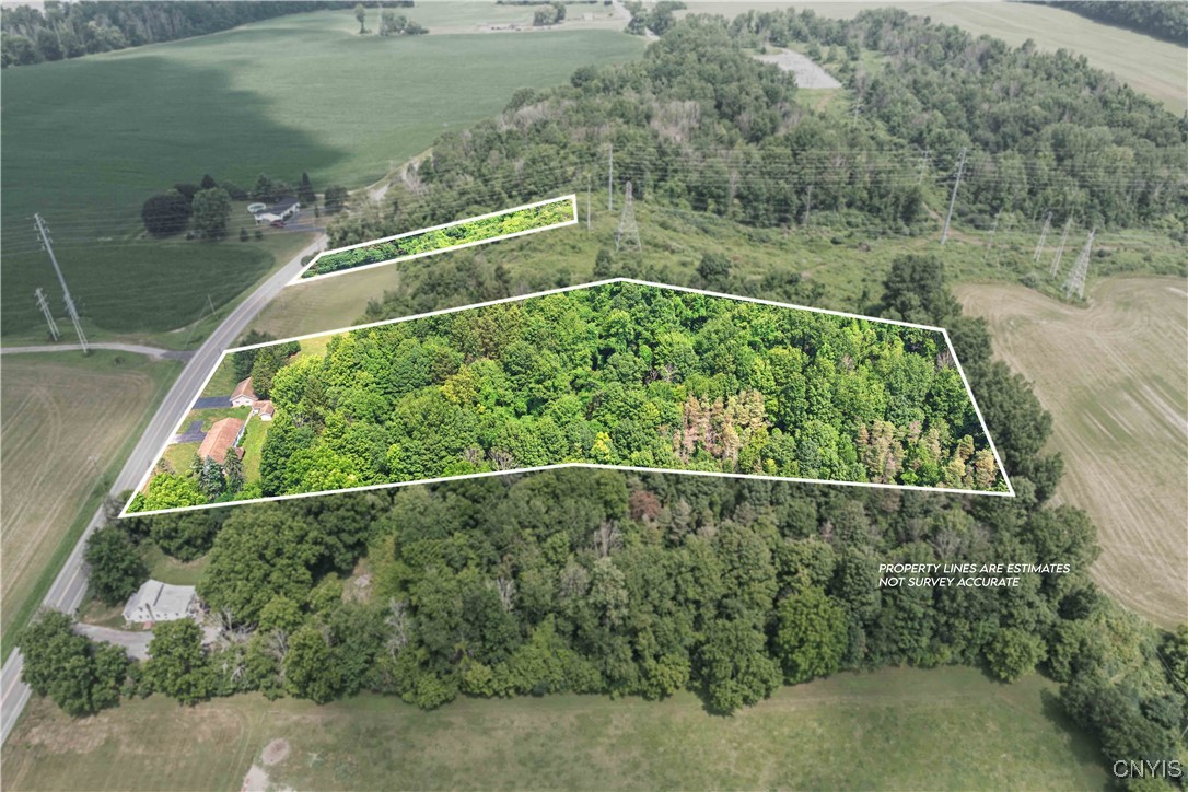 5150 Hamilton Road Elbridge, NY 13060 - Photo 47 of 49