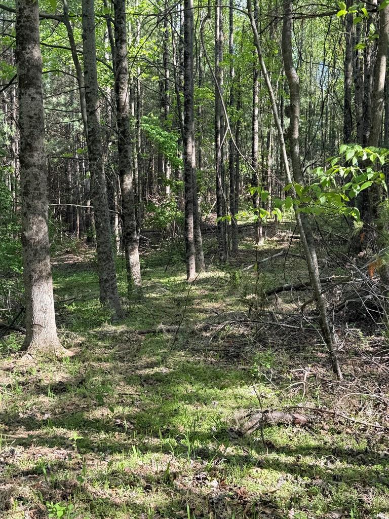 Tbd Lambsburg Road, Unit 1 Fancy Gap, VA 24328 - Photo 1 of 19 Gallery Image 1