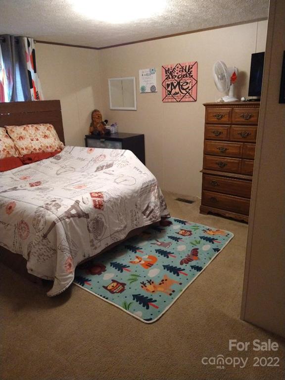 191 Nolan Road Lawndale, NC 28090 - Photo 13 of 30 Gallery Image 13