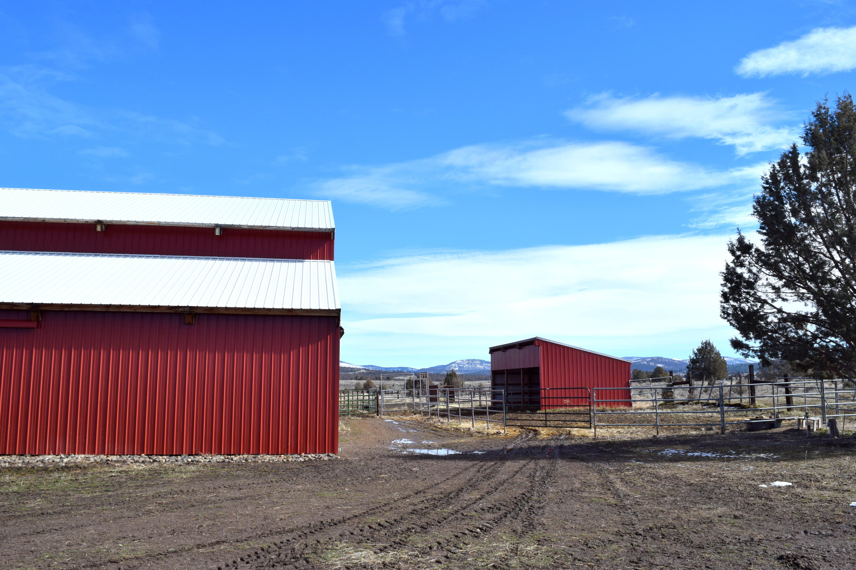 669-105 Susanville Road Adin, CA 96006 - Photo 52 of 53 26-DSC_0417-001